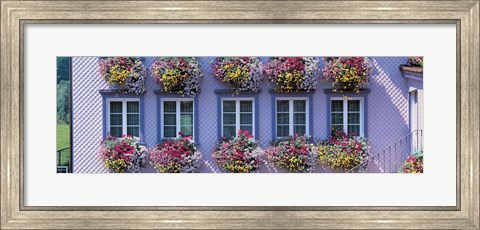 Framed Purple House with Flowers, Appenzell Switzerland Print