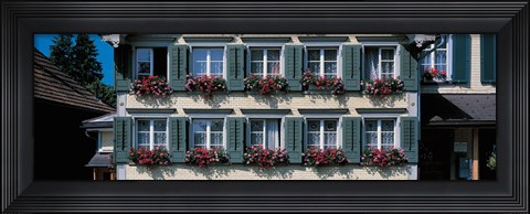 Framed Windows with Flower Boxes, Appenzell Switzerland Print