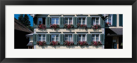 Framed Windows with Flower Boxes, Appenzell Switzerland Print