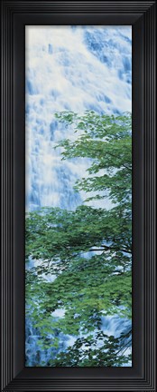 Framed Oku-Nikko Tochigi Japan Print