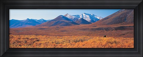 Framed Yukon Territory Canada Print