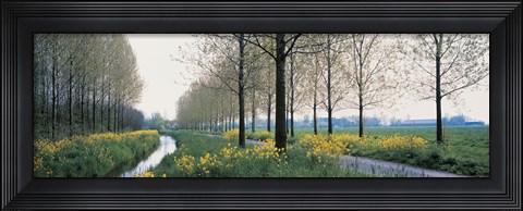 Framed Dordrecht Holland Netherlands Print