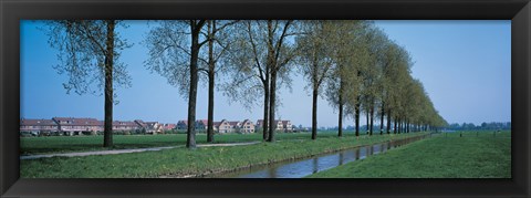 Framed Aalsmeer Holland Netherlands Print