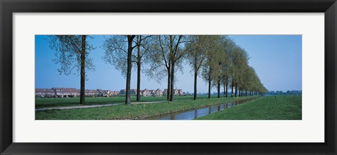 Framed Aalsmeer Holland Netherlands Print