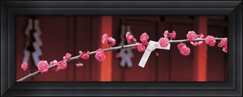 Framed Kitano Tenmangu Kyoto Japan Print