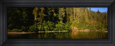 Framed Reflection of trees in a river, Smith River, Jedediah Smith Redwoods State Park, California, USA Print