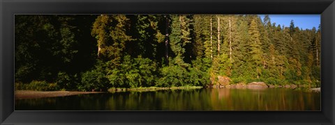 Framed Reflection of trees in a river, Smith River, Jedediah Smith Redwoods State Park, California, USA Print