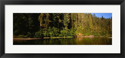 Framed Reflection of trees in a river, Smith River, Jedediah Smith Redwoods State Park, California, USA Print