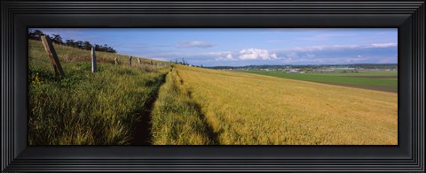 Framed Wooden fence along a farm, Ebey's Prairie, Whidbey Island, Island County, Washington State, USA Print
