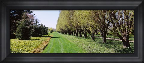 Framed Botanical garden, Niagara Falls, Ontario, Canada Print