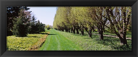 Framed Botanical garden, Niagara Falls, Ontario, Canada Print