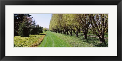 Framed Botanical garden, Niagara Falls, Ontario, Canada Print