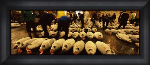 Framed People examining tuna in a fish auction, Tsukiji Fish Market, Tsukiji, Tokyo Prefecture, Kanto Region, Honshu, Japan Print