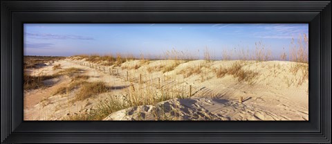 Framed Sand dunes on the beach, Anastasia State Recreation Area, St. Augustine, St. Johns County, Florida, USA Print
