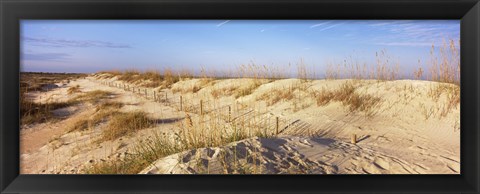 Framed Sand dunes on the beach, Anastasia State Recreation Area, St. Augustine, St. Johns County, Florida, USA Print