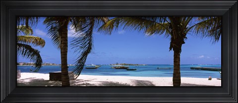 Framed Palm trees on the beach, Anguilla Print