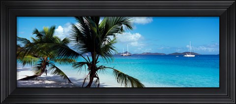 Framed Palm trees on the beach, Salomon Beach, Virgin Islands National Park, St. John, US Virgin Islands Print