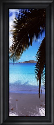 Framed Maho Bay, Virgin Islands National Park, St. John, US Virgin Islands Print