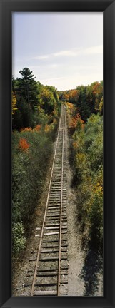 Framed Railroad tracks along Route 1A between Ellsworth and Bangor, Maine, USA Print