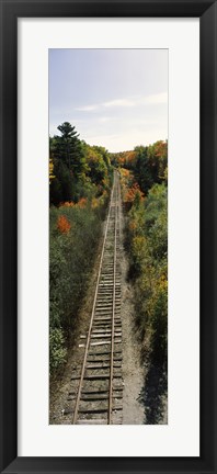 Framed Railroad tracks along Route 1A between Ellsworth and Bangor, Maine, USA Print