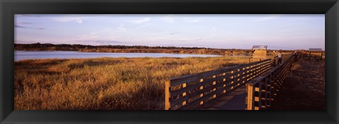 Framed Boardwalk in a state park, Myakka River State Park, Sarasota, Sarasota County, Florida, USA Print