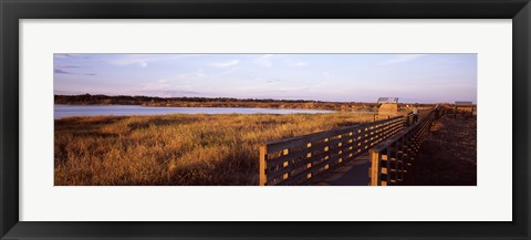 Framed Boardwalk in a state park, Myakka River State Park, Sarasota, Sarasota County, Florida, USA Print