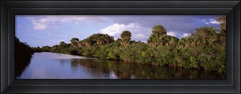 Framed Trees along a channel, Venice, Sarasota County, Florida Print
