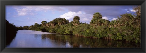 Framed Trees along a channel, Venice, Sarasota County, Florida Print