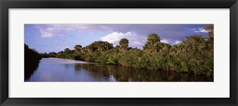 Framed Trees along a channel, Venice, Sarasota County, Florida Print