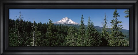 Framed Trees in a forest with mountain in the background, Mt Hood National Forest, Hood River County, Oregon, USA Print