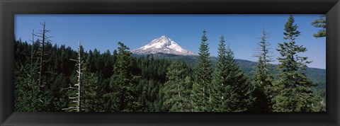 Framed Trees in a forest with mountain in the background, Mt Hood National Forest, Hood River County, Oregon, USA Print