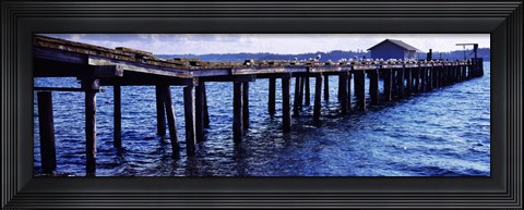 Framed Seagulls on a pier, Whidbey Island, Island County, Washington State, USA Print