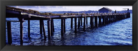 Framed Seagulls on a pier, Whidbey Island, Island County, Washington State, USA Print