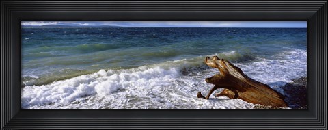 Framed Waves and driftwood on the beach, Whidbey Island, Island County, Washington State, USA Print