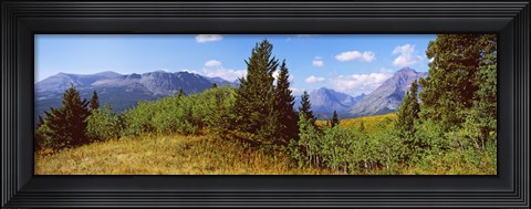 Framed Trees with mountains in the background, Looking Glass, US Glacier National Park, Montana, USA Print
