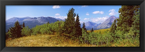 Framed Trees with mountains in the background, Looking Glass, US Glacier National Park, Montana, USA Print