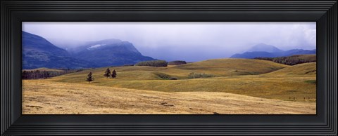 Framed Rolling landscape with mountains in the background, East Glacier Park, Glacier County, Montana, USA Print