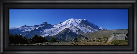Framed Mountain covered with snow, Mt Rainier, Mt Rainier National Park, Pierce County, Washington State, USA Print
