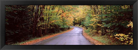 Framed Road passing through a forest, Green Bridge Road, Adirondack Mountains, Thendara, Herkimer County, New York State, USA Print