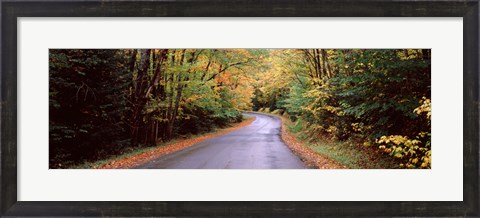 Framed Road passing through a forest, Green Bridge Road, Adirondack Mountains, Thendara, Herkimer County, New York State, USA Print
