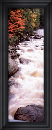 Framed River flowing through a forest, Ausable River, Adirondack Mountains, Wilmington, New York State (vertical) Print