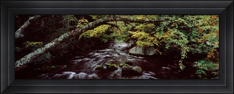 Framed Stream flowing through a forest, Adirondack Mountains, New York State, USA Print