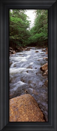 Framed River flowing through a forest, Moose River, Adirondack Mountains, New York State (vertical) Print