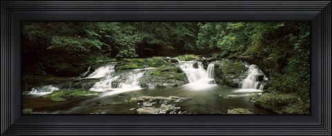 Framed Dingmans Creek flowing through a forest, Dingmans Falls Area, Delaware Water Gap National Recreation Area, Pennsylvania, USA Print