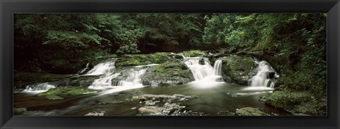 Framed Dingmans Creek flowing through a forest, Dingmans Falls Area, Delaware Water Gap National Recreation Area, Pennsylvania, USA Print