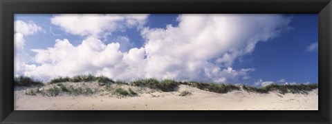 Framed Sand dunes, Cape Hatteras National Seashore, Outer Banks, North Carolina, USA Print