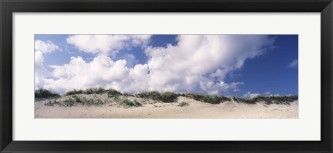 Framed Sand dunes, Cape Hatteras National Seashore, Outer Banks, North Carolina, USA Print