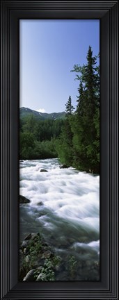 Framed River flowing through a forest, Little Susitna River, Hatcher Pass, Talkeetna Mountains, Alaska, USA Print