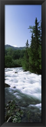 Framed River flowing through a forest, Little Susitna River, Hatcher Pass, Talkeetna Mountains, Alaska, USA Print