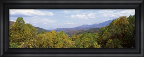 Framed View from River Road, Great Smoky Mountains National Park, North Carolina, Tennessee, USA Print